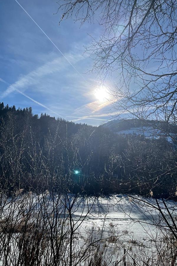 Residence Schneiderhof San Candido Dış mekan fotoğraf