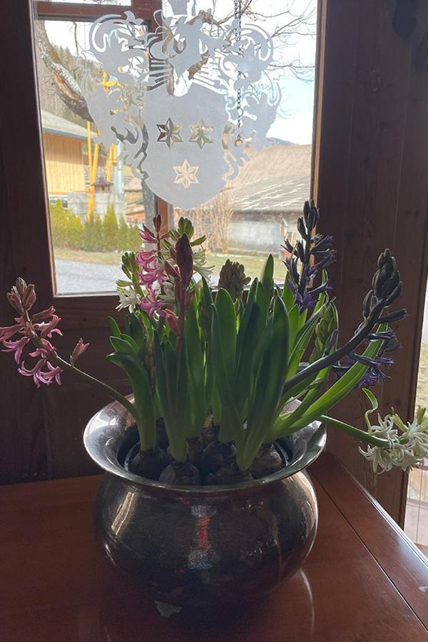 Residence Schneiderhof San Candido Dış mekan fotoğraf