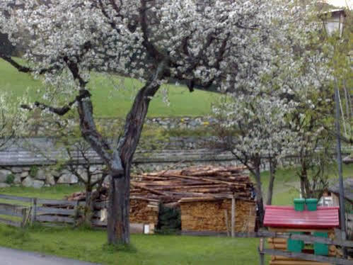 Residence Schneiderhof San Candido Dış mekan fotoğraf